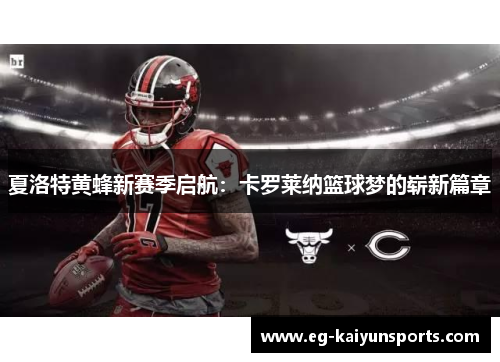 夏洛特黄蜂新赛季启航：卡罗莱纳篮球梦的崭新篇章